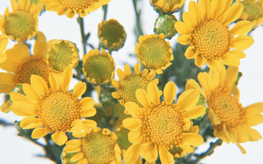 458416 (a): :1680x1050